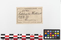 Etiketten zu Bronzearmreif (NHMW-PRAE-023764)